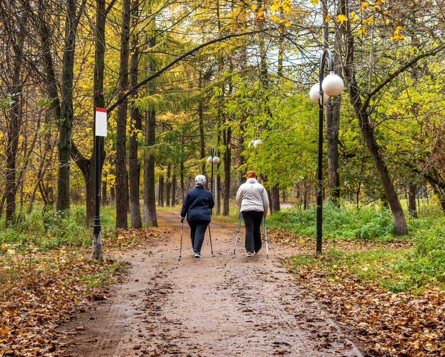 Twee dames wandelen in het bos